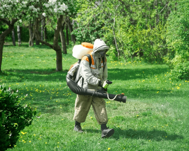 PRO PEST 🦟 | Extermination nuisibles - Dératisation - Désinsectisation | La Colle sur loup - Alpes Maritimes