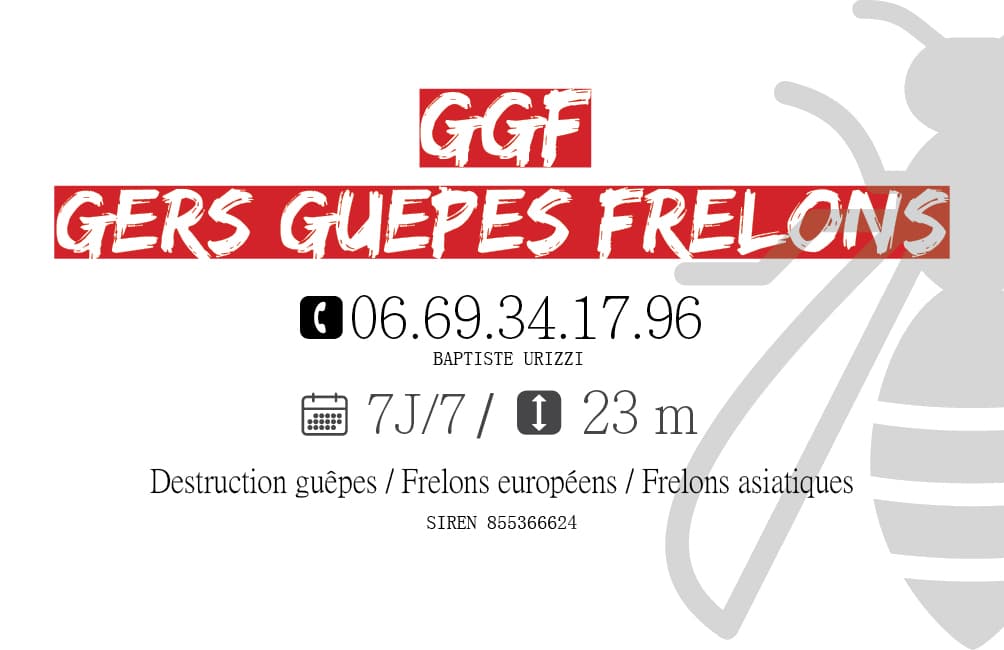 Gers Guêpes Frelons