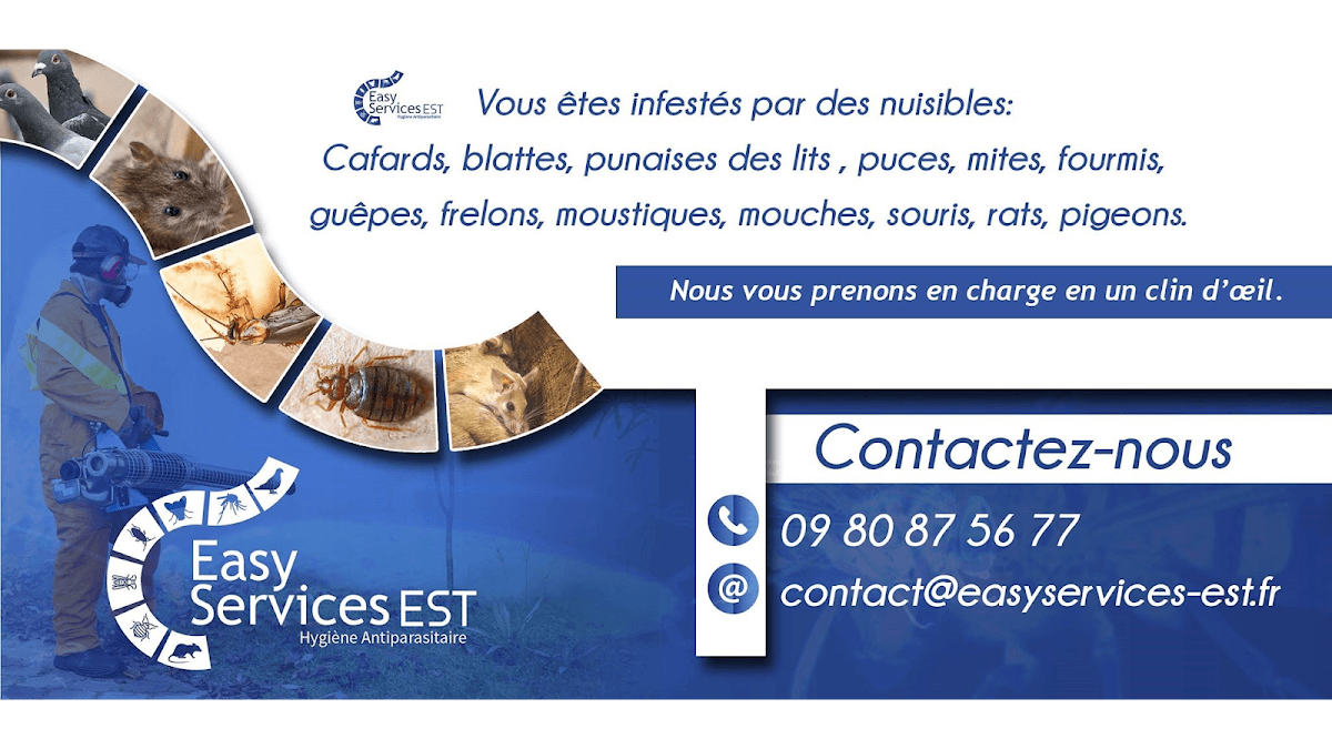 Easy Services Est — désinsectisation et dératisation à Mulhouse