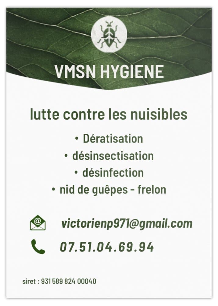VMSN hygiène