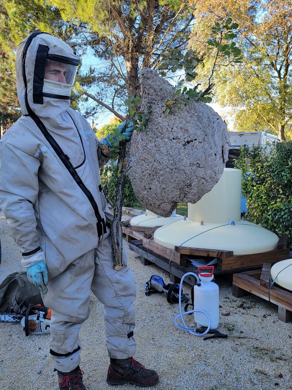Provence Nuisibles — désinsectisation et dératisation à Aix-en-Provence