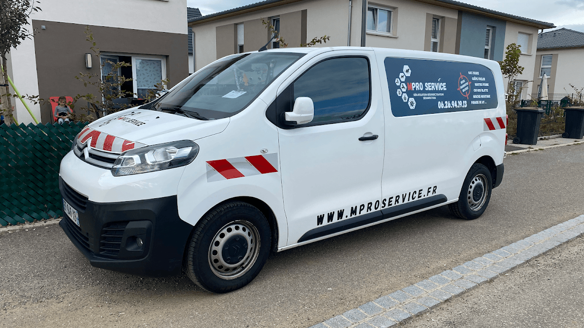 M Pro Service Vosges : Dératisation, Désinsectisation, Dépigeonnage & Désinfection