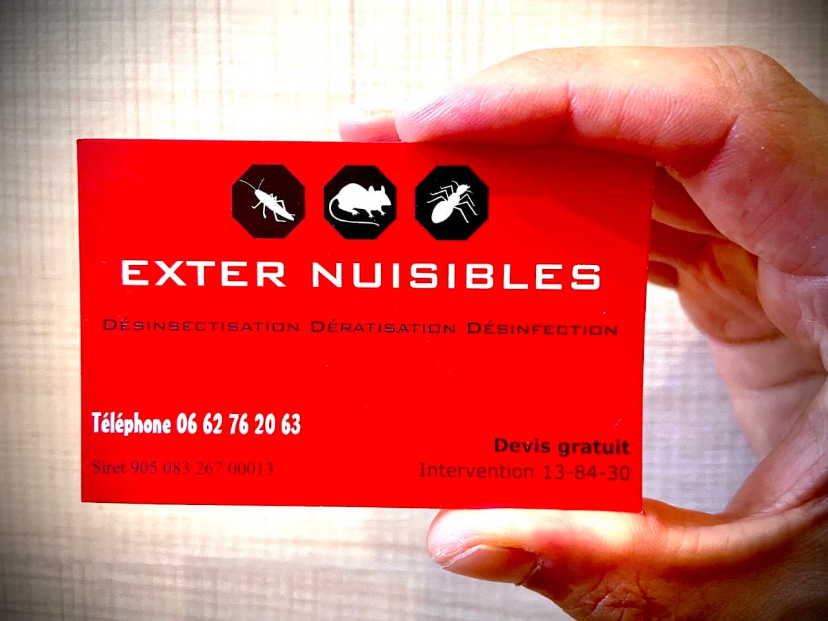 EXTER NUISIBLE - DERATISATION - DESINSECTISATION (FRELONS-PUNAISES DE LIT-CAFARDS)