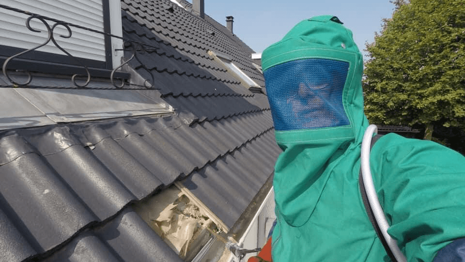 Flandres Opale Nuisibles