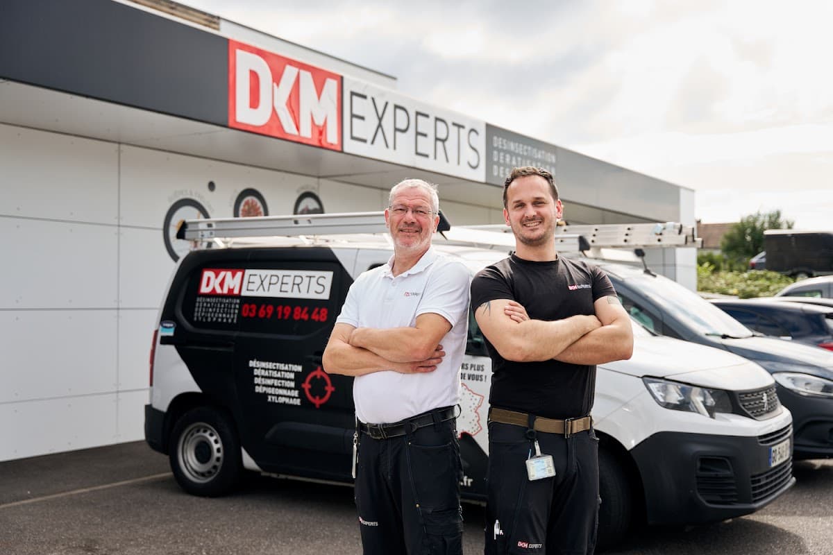 DKM Experts : Dératisation Désinsectisation Désinfection — dératisation à Metz