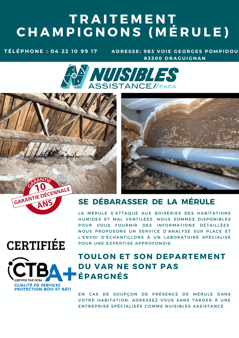 Nuisibles Assistance Var (83) | Draguignan