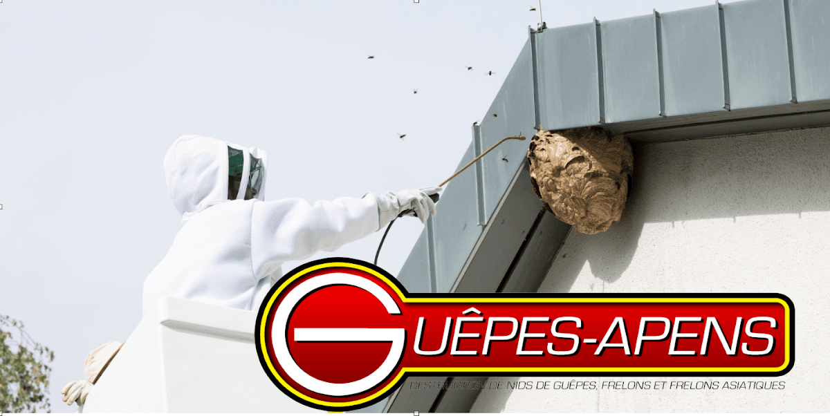 GUÊPES-APENS 81 - Radikal Nuisibles